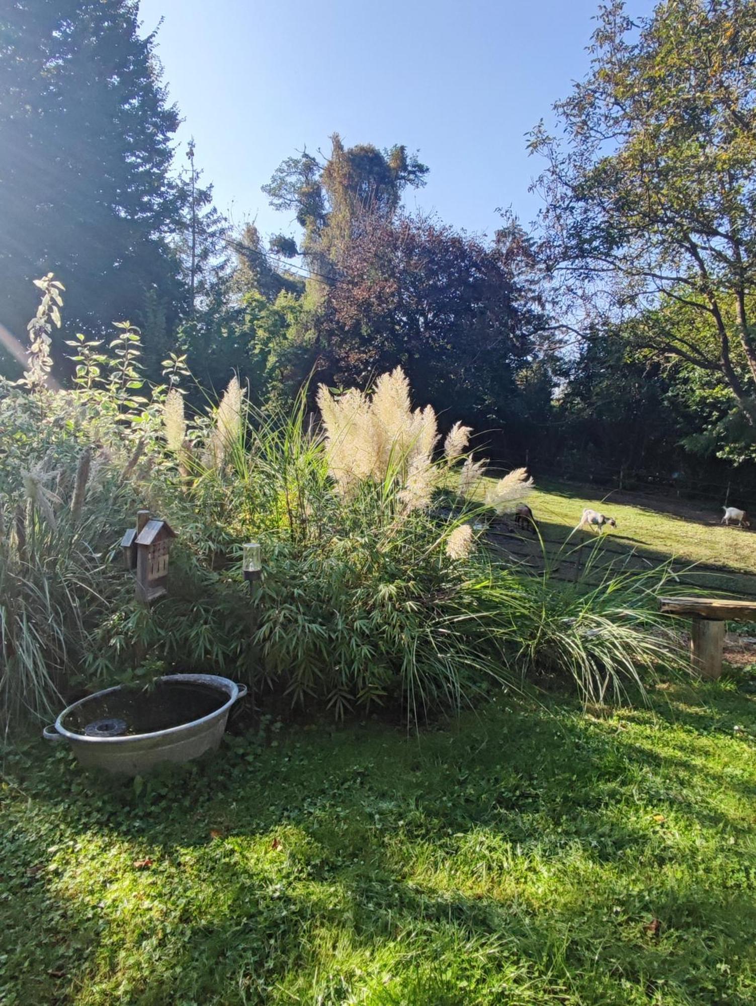 Villa Au Pré de Mukky Andenne Esterno foto